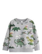 Sweatshirt Dino Aop Tops Sweatshirts & Hoodies Sweatshirts Grey Lindex