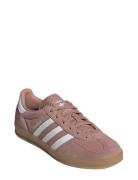 Gazelle Indoor W Sport Women Sport Shoes Sport Sneakers Sport Low Top ...