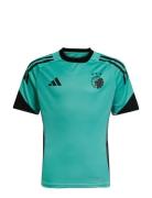 Fck Tr Jsy Y Tops T-Kortærmet Skjorte Blue Adidas Performance