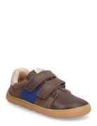 Bisgaard Barefoot Ricco Low-top Sneakers Brown Bisgaard