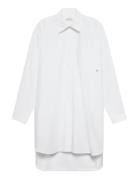 Cotton Over D Mini Shirtdress Dresses Shirt Dresses White Calvin Klein...