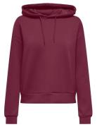 Onplounge Hood Ls Swt Noos Sport Sweatshirts & Hoodies Hoodies Burgund...