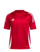 Tiro24 Jsyy Sport T-Kortærmet Skjorte Red Adidas Performance