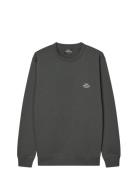 Standard Crew Logo Sweat Fav Tops Sweatshirts & Hoodies Sweatshirts Gr...