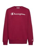 Crewneck Sweatshirt Sport Sweatshirts & Hoodies Sweatshirts Red Champi...
