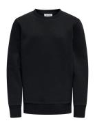 Osjceres Crew Neck Swt Noos Tops Sweatshirts & Hoodies Sweatshirts Bla...