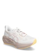 Novablast 5 Sport Sport Shoes Sport Running Shoes White Asics