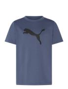 Tad Ess Cat Logo Tee B Sport T-Kortærmet Skjorte Navy PUMA