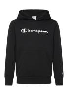 Hooded Sweatshirt Sport Sweatshirts & Hoodies Hoodies Black Champion