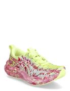 Noosa Tri 16 Sport Women Sport Shoes Sport Running Shoes Yellow Asics