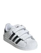 Superstar Ii Cf C Low-top Sneakers White Adidas Originals