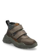 Shoes - Flat - With Velcro High-top Sneakers Brown ANGULUS