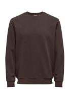 Onsceres Crew Neck Noos Tops Sweatshirts & Hoodies Sweatshirts Brown O...