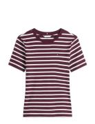 Slim Cody C-Nk Ss Tops T-shirts & Tops Short-sleeved Burgundy Tommy Hi...