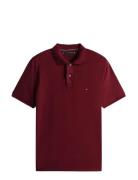 Liquid Cotton Reg Seasonal Polo Tops Polos Short-sleeved Burgundy Tomm...