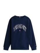 Varsity Raised Print Sweatshirt Tops Sweatshirts & Hoodies Sweatshirts...