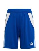 Tiro24 Sho Y Sport Shorts Sport Shorts Blue Adidas Performance