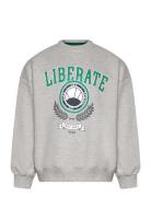 Tnpenno Os Sweatshirt Tops Sweatshirts & Hoodies Sweatshirts Grey The ...