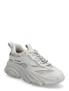 Possession-E Low-top Sneakers Grey Steve Madden