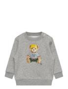 Polo Bear Fleece Sweatshirt Tops Sweatshirts & Hoodies Sweatshirts Gre...