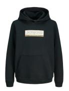 Jorinwood Block Branding Sweat Noos Jnr Tops Sweatshirts & Hoodies Hoo...