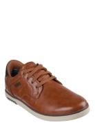 Men Haney Ritter Low-top Sneakers Brown Skechers