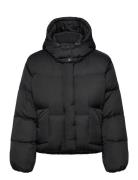 Western Bubble Shortie Anthrac Foret Jakke Black Levi's®