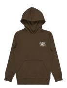 Foundation Po Tops Sweatshirts & Hoodies Hoodies Brown Billabong
