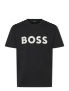 Tee Iconic Z Sport Men Men Sports Clothes Sport Tops Sport T-Skjorte B...