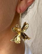 Pilgrim - Guld - DREAM Hoops