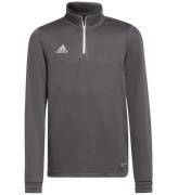 adidas Performance Bluse - ENT22 TR TOPY - GrÃ¥/Hvid